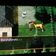Illustration for article titled iSuikoden II/i Has Great Animal Noises